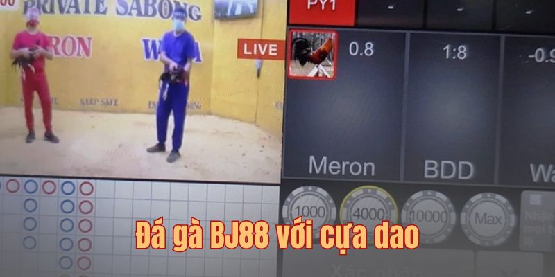 Hướng dẫn các quy tắc tham gia đặt cược tại nền tảng uy tín